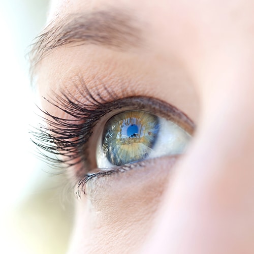 Closeup of an eye