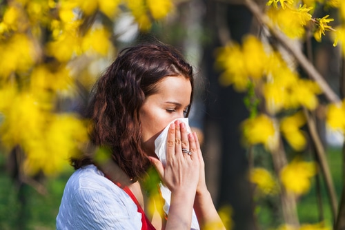 3 Things You Can Do To Reduce Irritation From Allergies This Spring