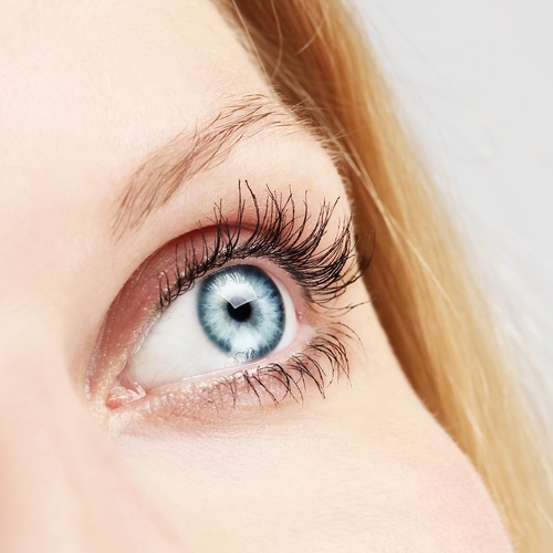 Closeup of a woman's blue eyes